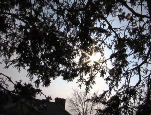 Reza & Karen Movie Trailer